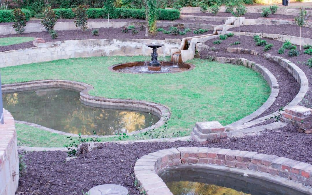 A New Beginning – the Bath Gardens Initiatives Continue