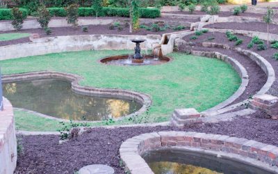 A New Beginning – the Bath Gardens Initiatives Continue