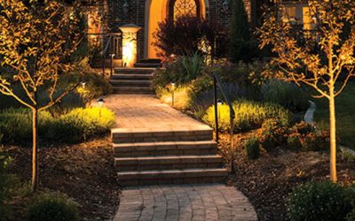 Don’t Leave Your Landscape in the Dark