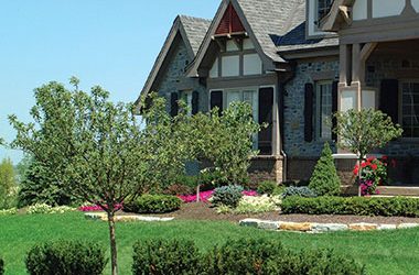 Looking Ahead to Summer Entertainment!