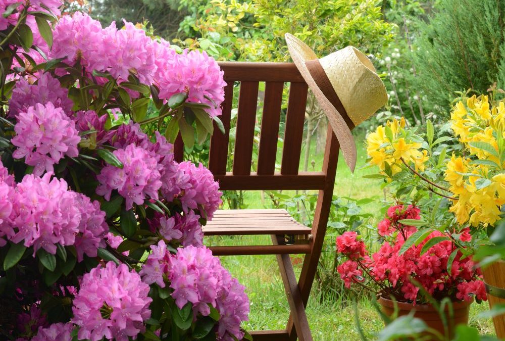 Augusta Georgia Landscaping Inspiration and Ideas