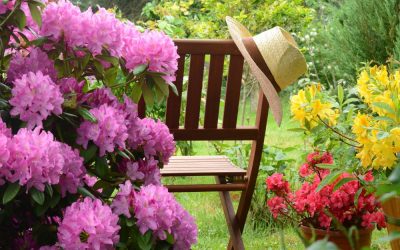 Augusta Georgia Landscaping Inspiration and Ideas