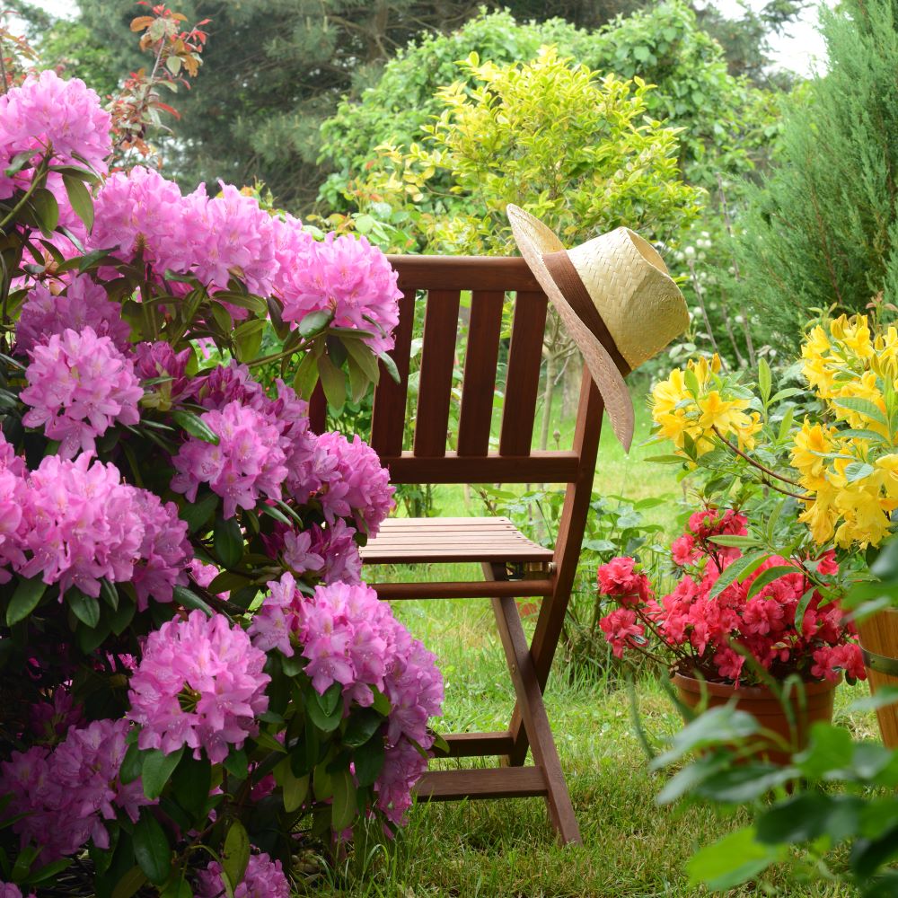 Landscape Installation of Flowers and Bushes