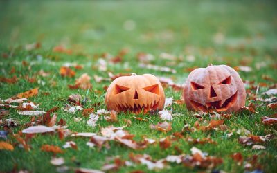 To Ensure Your Lawn is Ready, Follow These Fall Lawn Care Tips to Prepare for Spring