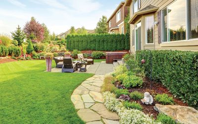 Natural Screens for Protection and Privacy