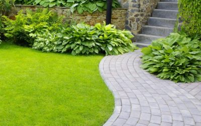 Five Lawn Maintenance Myths Exposed