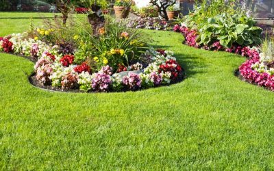 Colorscaping – The Science Behind Getting the Most Enjoyment From Your Landscaping