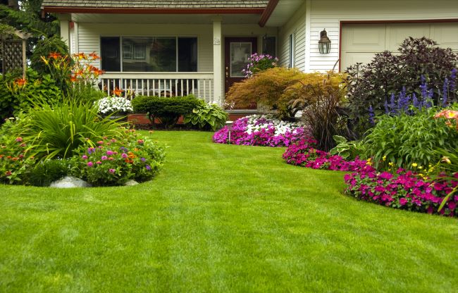 Residential Yard With Flower Beds