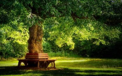 Landscaping Tips for Summer Hardscape Shelters