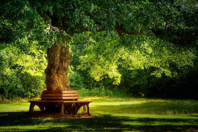 Landscaping Tips for Summer Hardscape Shelters