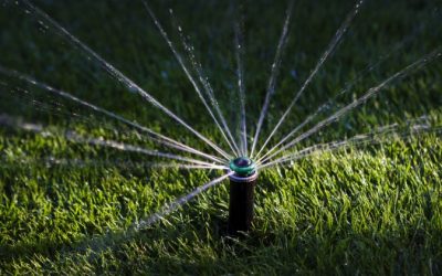 5 Reasons to Install a Sprinkler System