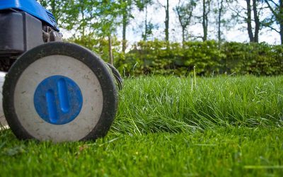 Leave the Yard Work to Us!