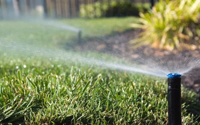 Why Watering Wisely Means a Better Summer Lawn