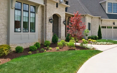 Annual Color vs. Perennial Flower Gardens