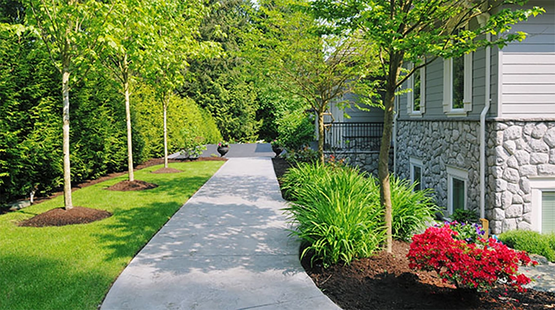 Sidewalk-Landscape-184832455