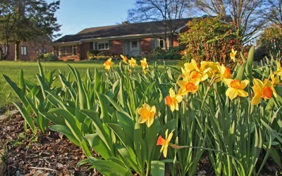 Welcome to a New Growing Season!