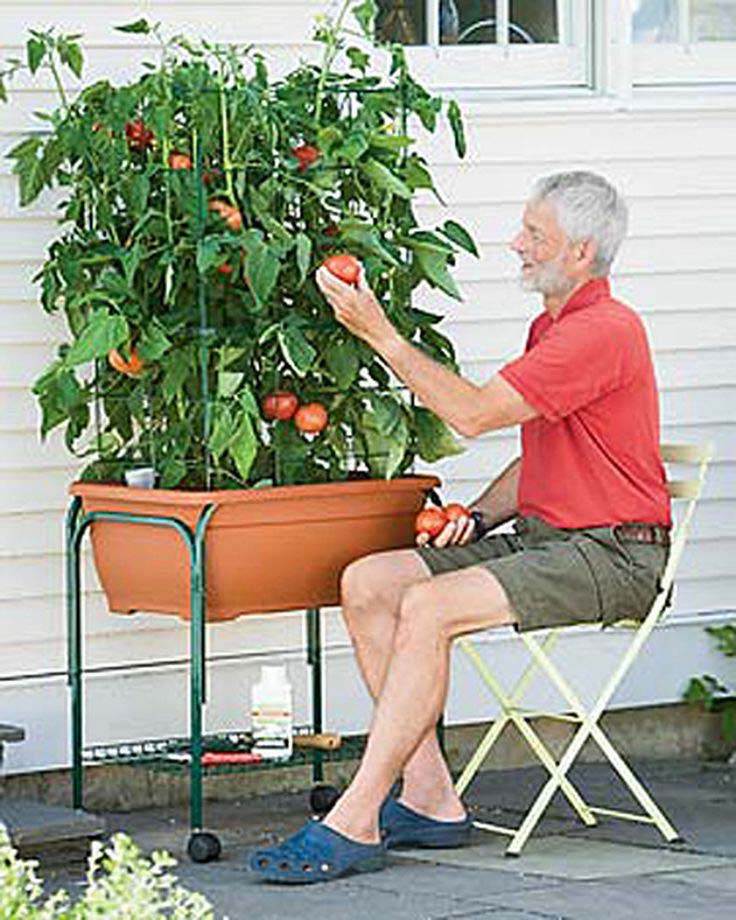 Patio Tomato Planter